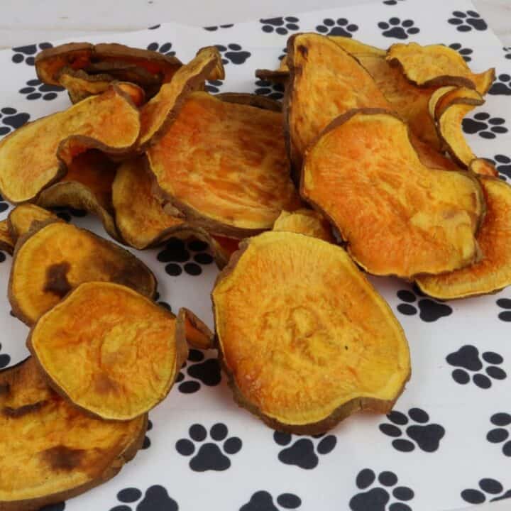 Air Fryer Chicken Sweet Potato Dog Chews Recipe