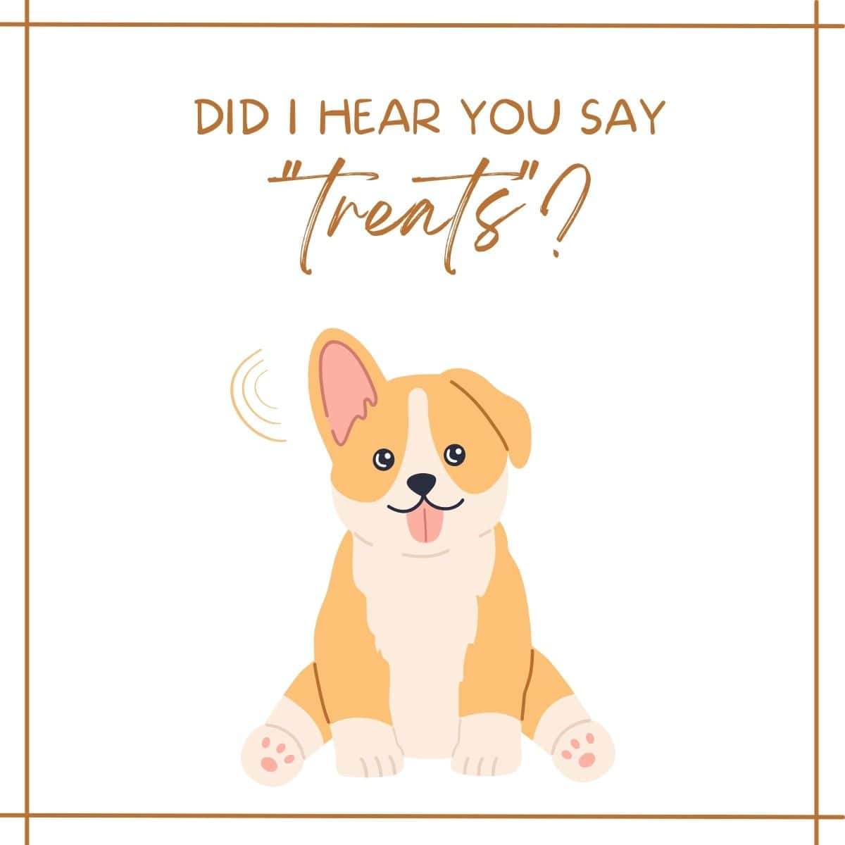 Benefits of using Coconut oil in Homemade Dog Treats