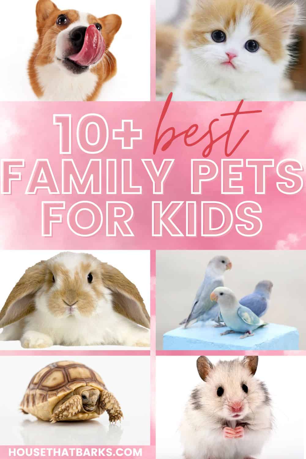 best family pets for kids