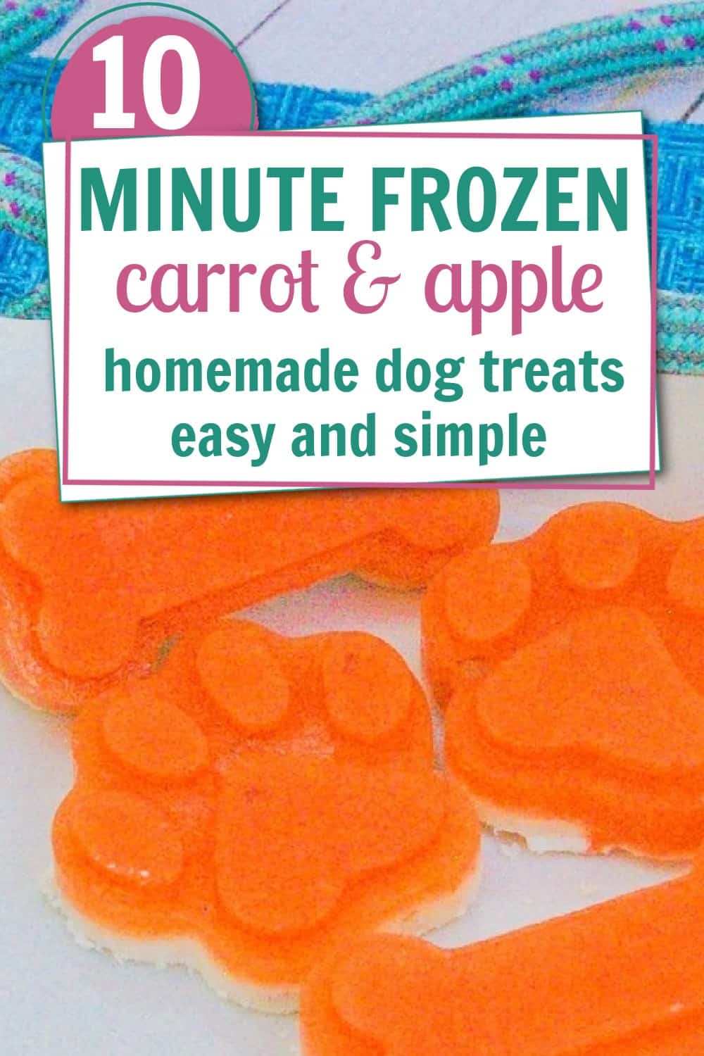 Image showcasing 10 Minute Frozen Carrot and Apple Dog Treats - House that Barks