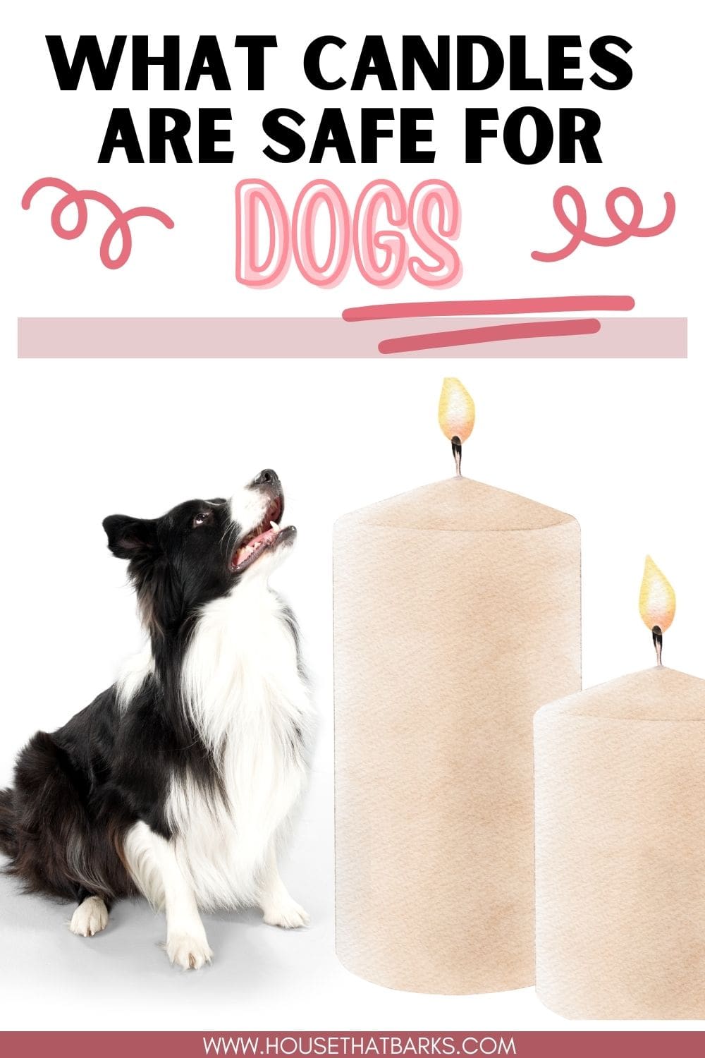 Candles Safe for Dogs