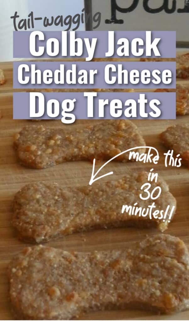 Colby Jack Cheddar Cheese Dog Treats