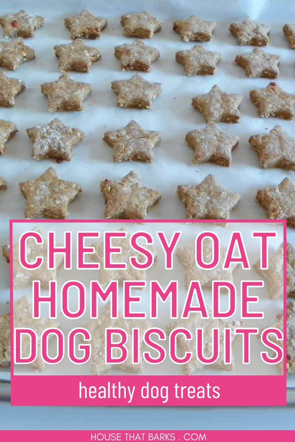 Cheesy Oat Homemade Dog Biscuits
