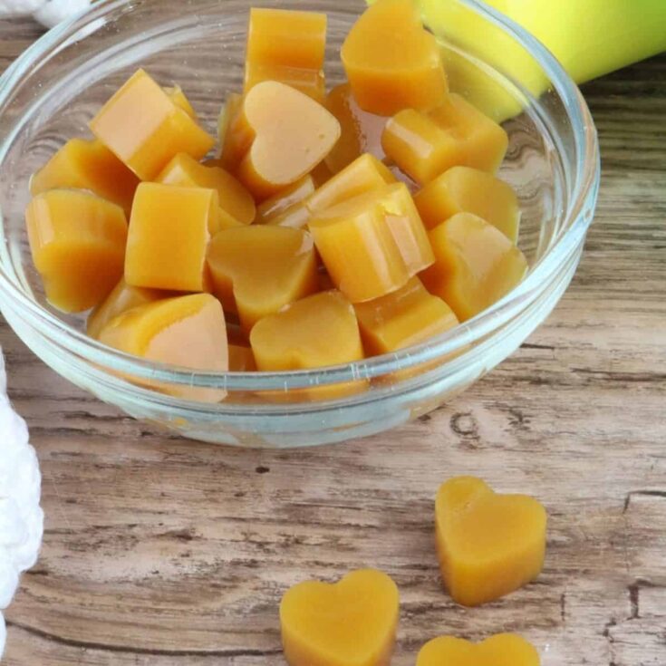 Easy Chicken Gummies for Dogs Recipe