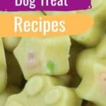 Chicken Pup Pops Homemade Dog Treat Recipe