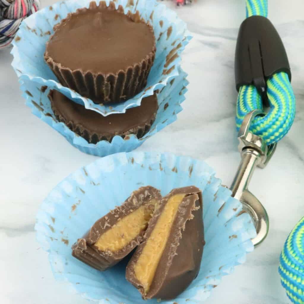 Homemade Peanut Butter Cups for Dogs - House that Barks