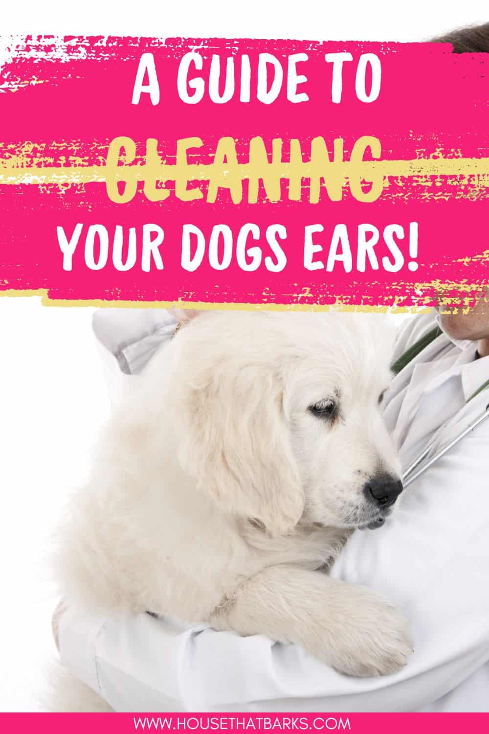 A Guide to Cleaning your Dogs Ears - House that Barks - Critical Times For Cleaning Your Dog'S Ears