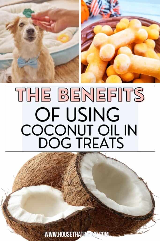 Benefits of coconut oil in homemade dog treats
