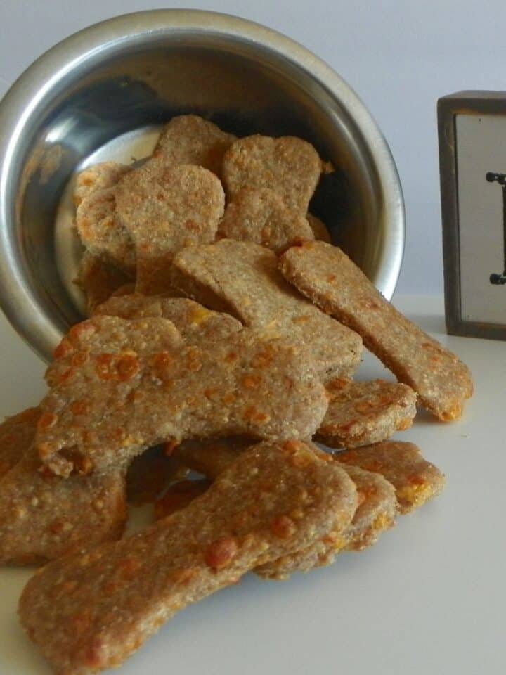 Colby Jack Cheddar Cheese Dog Treats