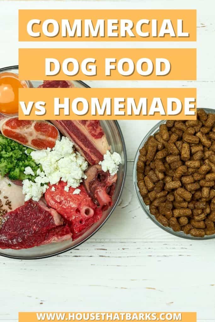Commercial Dog Food vs Homemade PIN