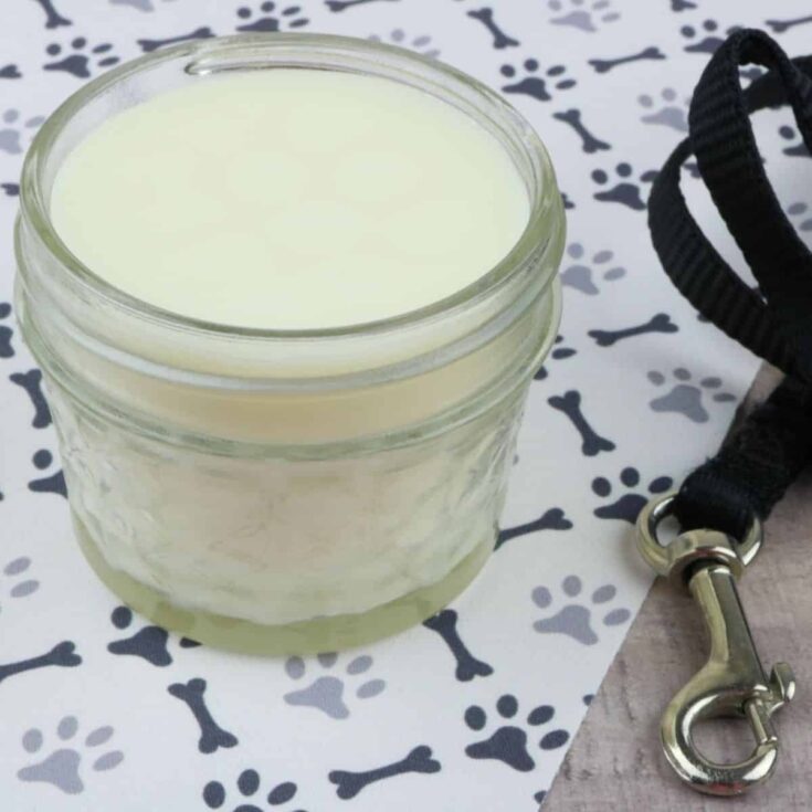 5-Minute DIY Dog Paw Balm for Dry Cracked Paws