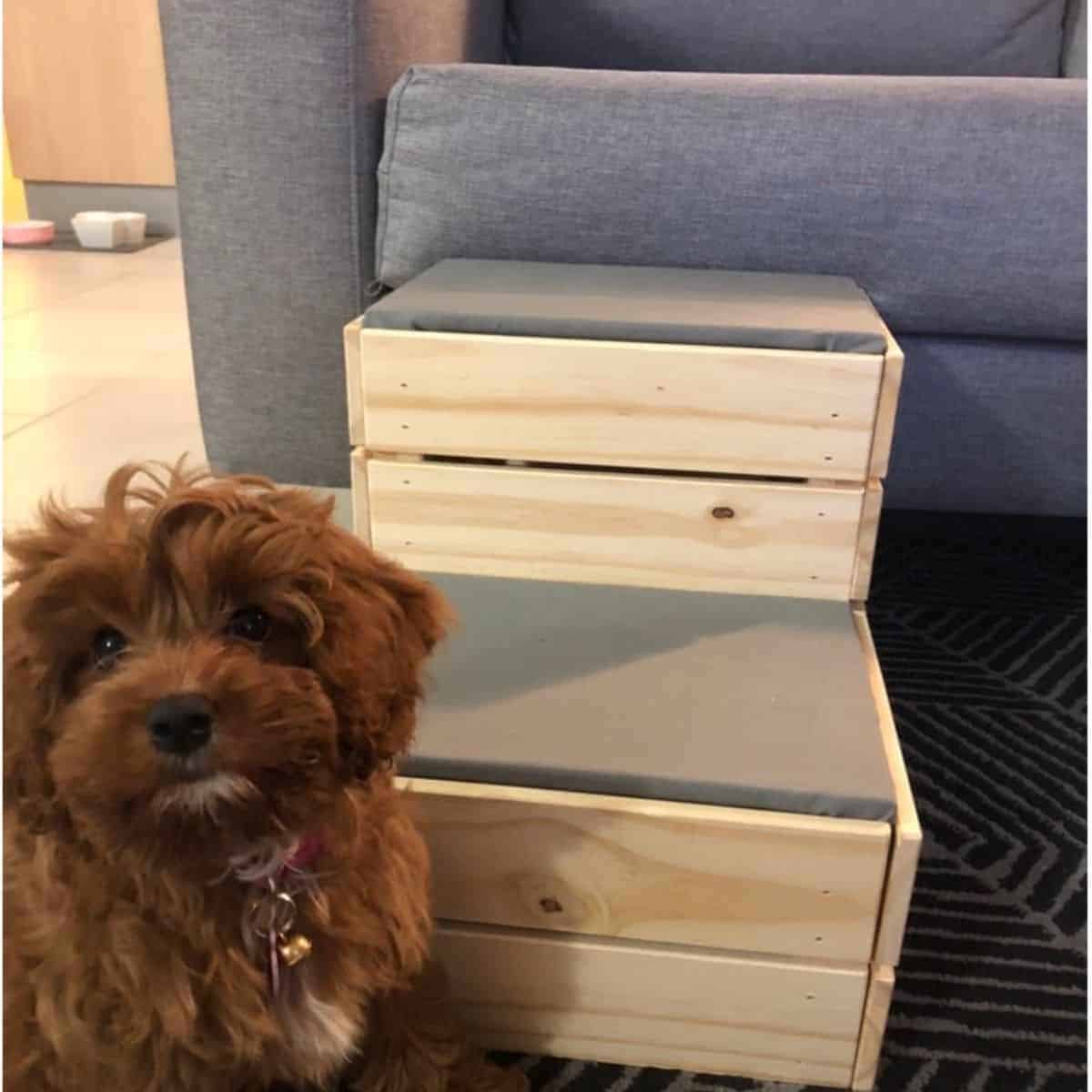 DIY Dog Steps