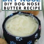 DIY Dog's Nose Butter Recipe for Dogs