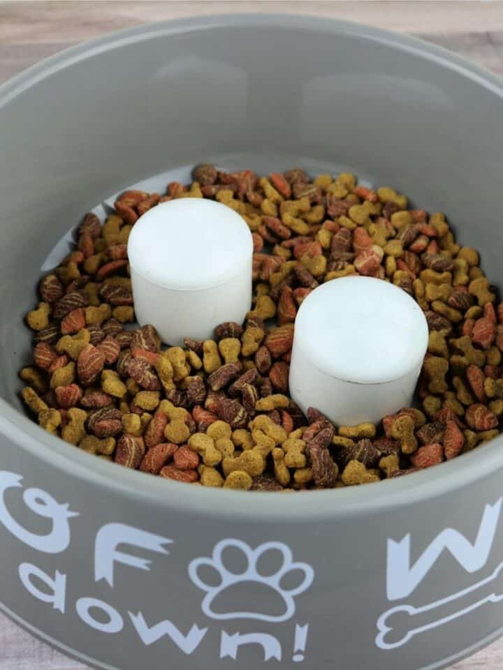 How to Make a DIY Slow Feeder Dog Bowl