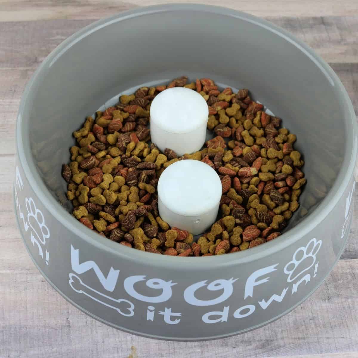 DIY Slow Feeder Dog Bowl