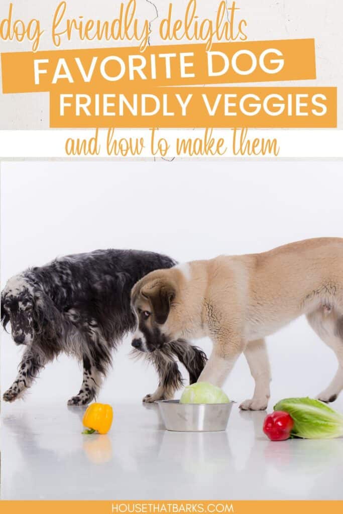 dog friendly veggies for dogs
