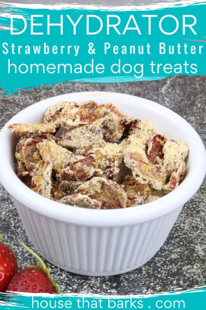 Dehydrated Strawberry Dog Treats PIN