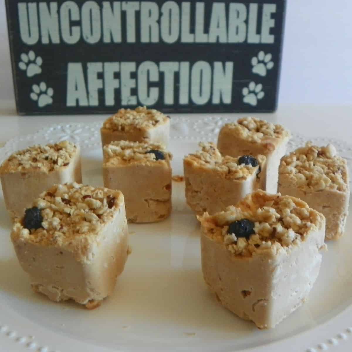 granola and peanut butter frozen dog treats