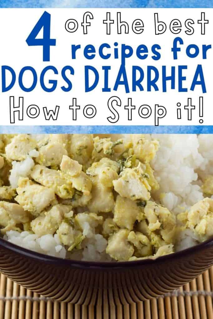 dogs diarrhea recipe PIN