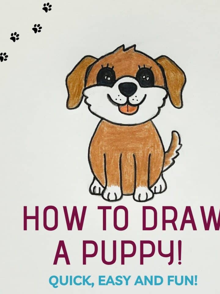 how to draw a puppy cover