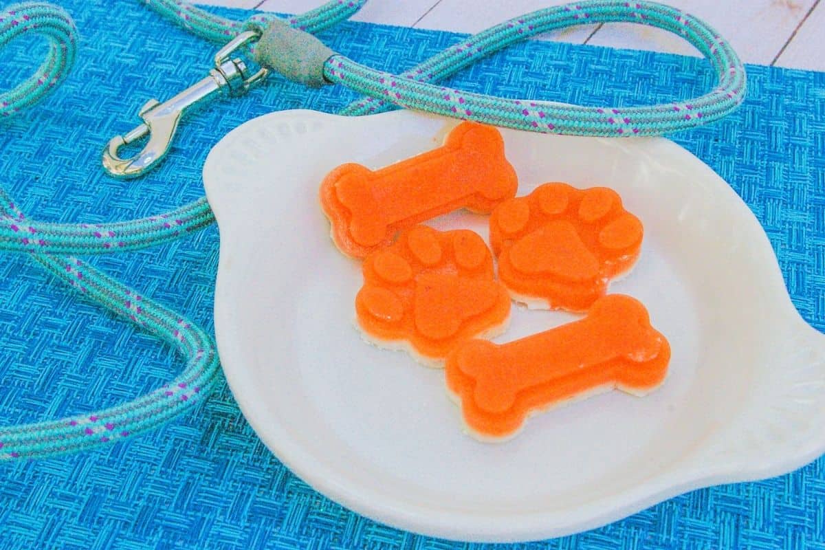 Frozen Carrot and Apple Dog Treats