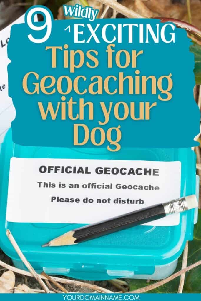 Geocaching tips with dogs