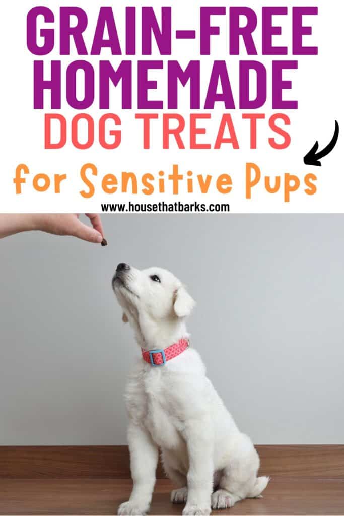 Grain-Free Homemade Dog Treats