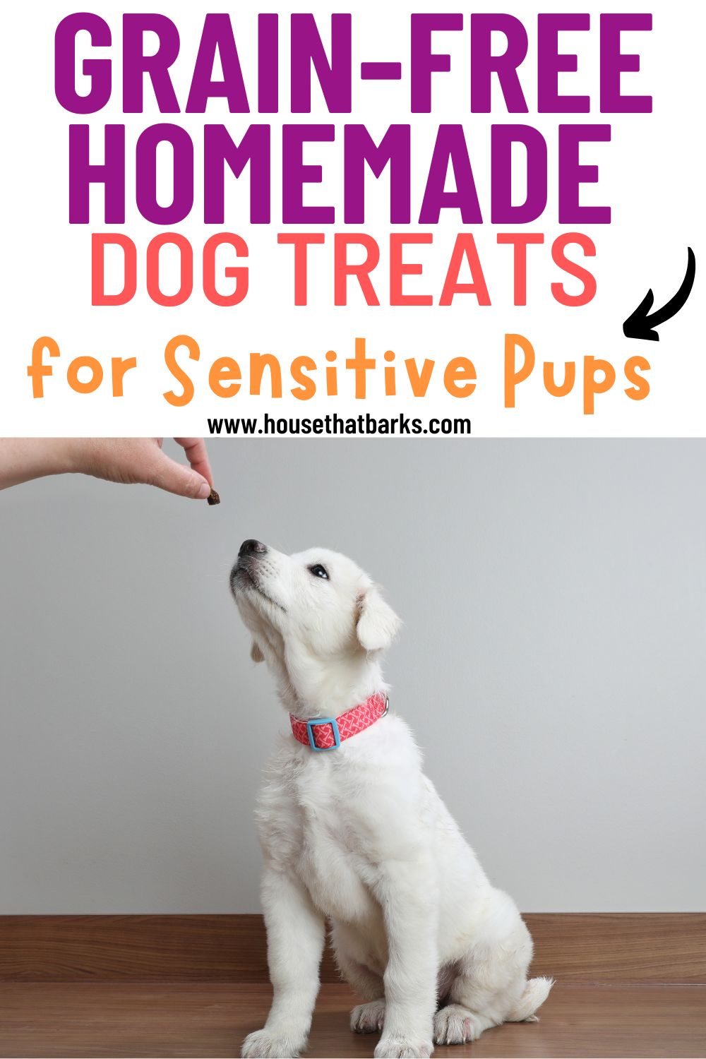 Grain-Free Homemade Dog Treats
