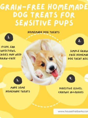 Grain-Free Homemade Dog Treats for Sensitive Pups