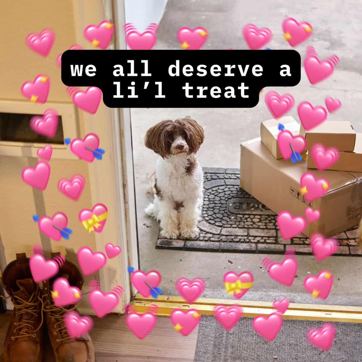 Grain-Free Homemade Dog Treats