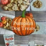 Halloween Pumpkin Dog Treats PIN