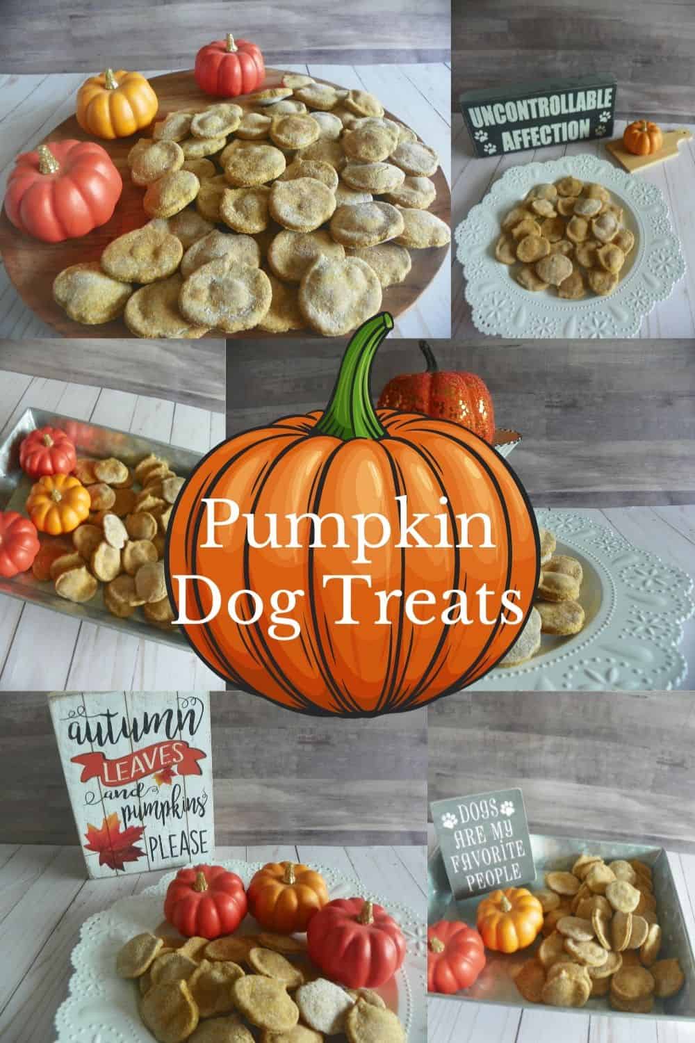 Homemade Halloween Pumpkin Dog Treats | House That Barks