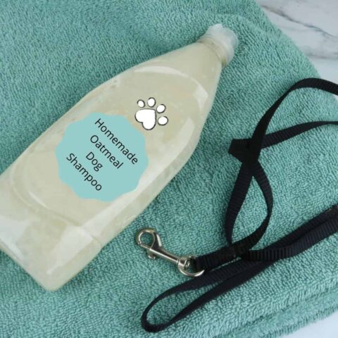 10 Minute Oatmeal Dog Shampoo For Dry Itchy Skin House That Barks