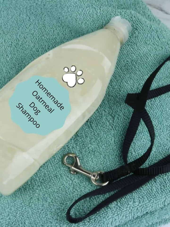 homemade oatmeal dog shampoo