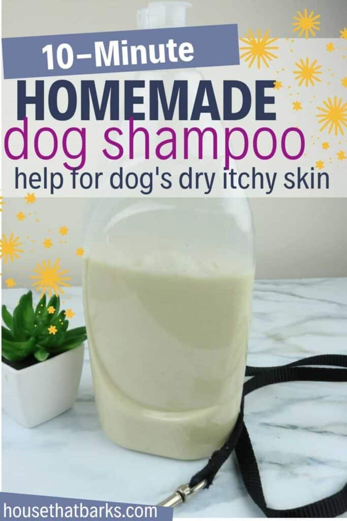 Homemade Oatmeal dog shampoo Recipe
