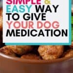Medicine Balls for Dogs