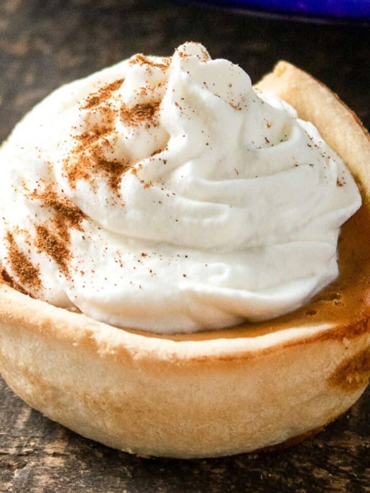 Mini Pumpkin Pie with Whipped Cream for Dogs