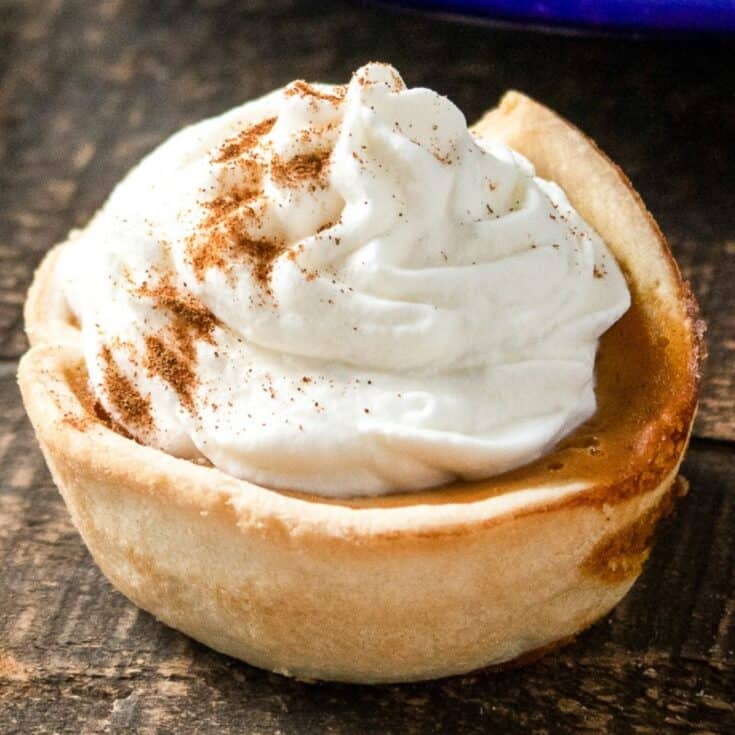 Pumpkin Pie for Dogs With Whipped Cream