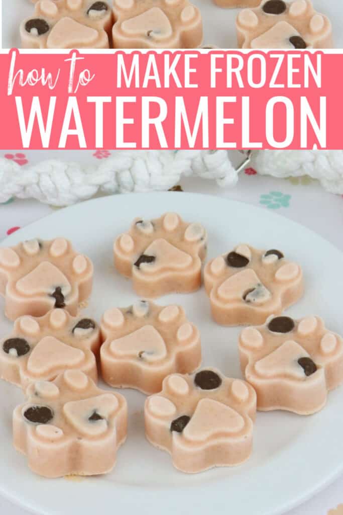 PIN Watermelon Carob Pup Pops