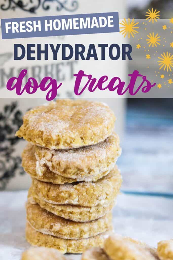 PINS Dehydrator Dog Treats