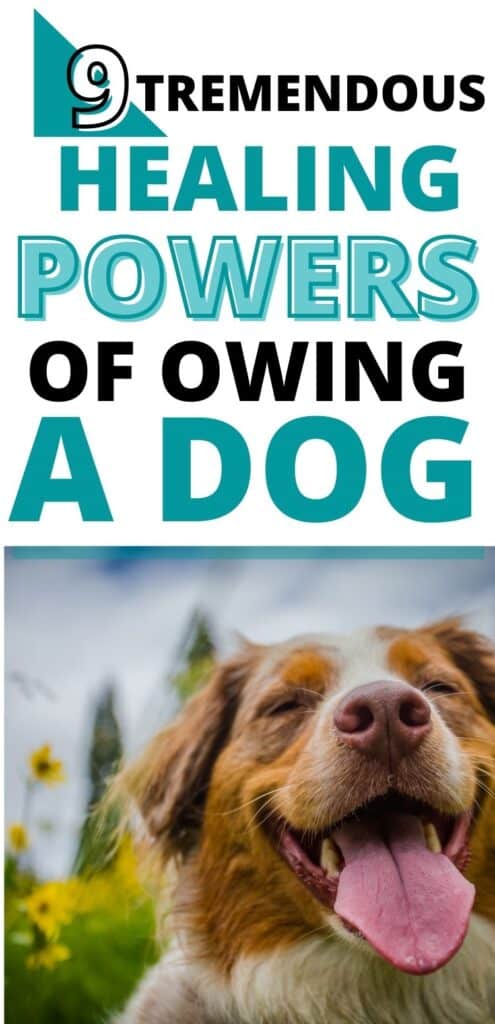 POWERS OF OWING A DOG