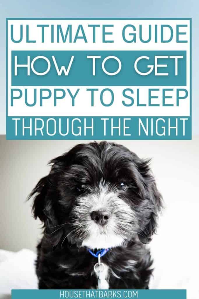 puppy sleep through the night PIN
