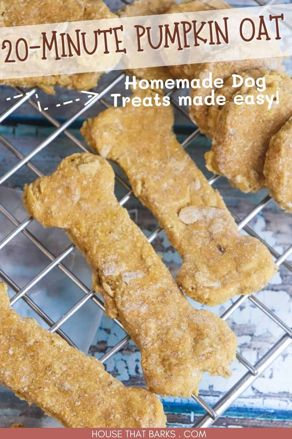 Homemade Pumpkin Oat Dog Treats Recipe