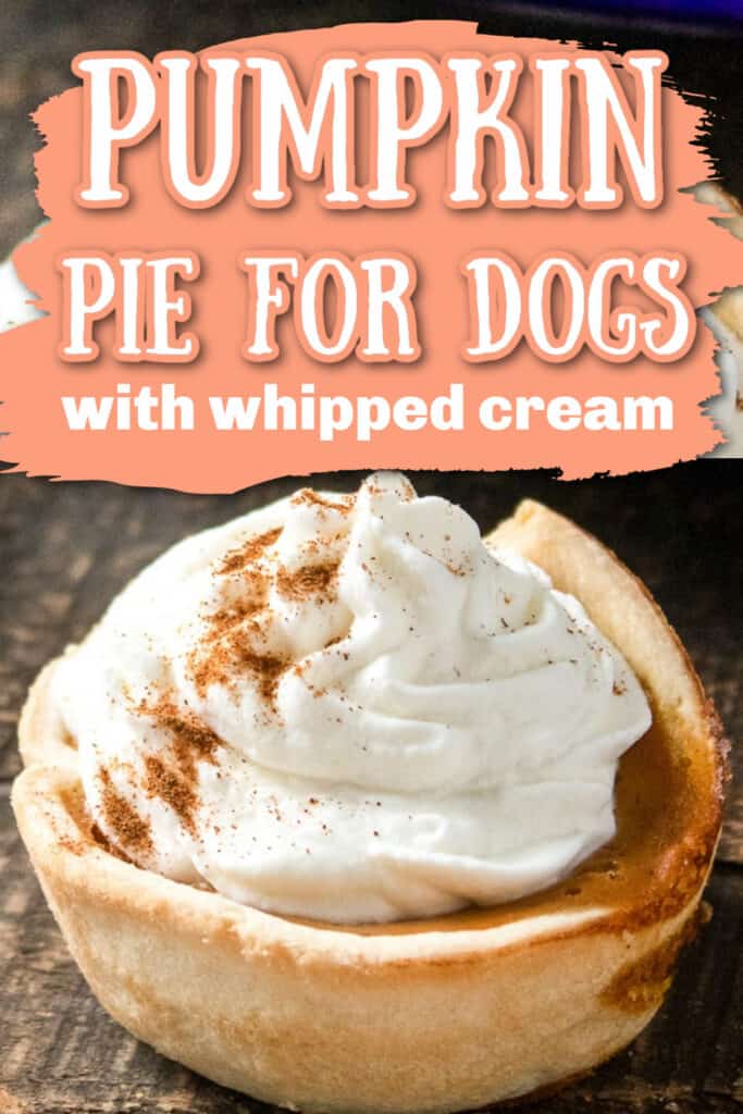 Pumpkin Pie for dogs PIN
