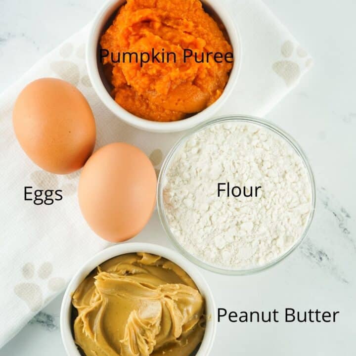 20 Minute Air Fryer Dog Treats House that Barks