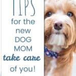 Self-Care Tips for the New Dog Mom
