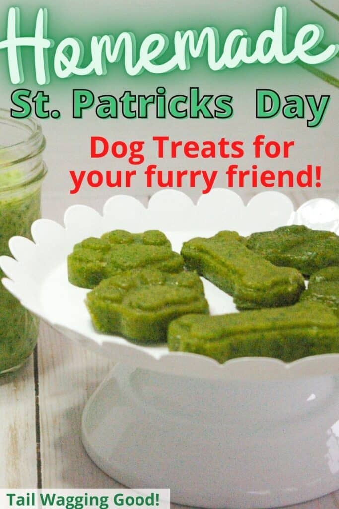 Homemade dog food PIN