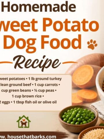 Homemade Sweet Potato Dog Food Recipe