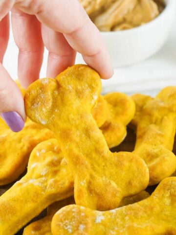 air fryer dog treats