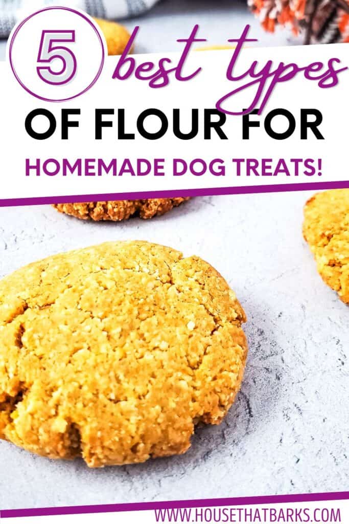 best flour for homemade dog treats